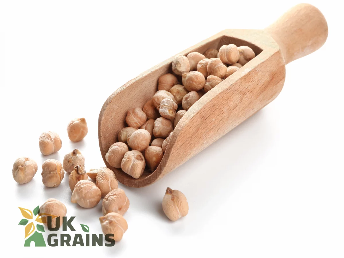 Nutritious chickpea | UK Grains