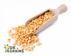 Yellow Split Peas – 25 kg