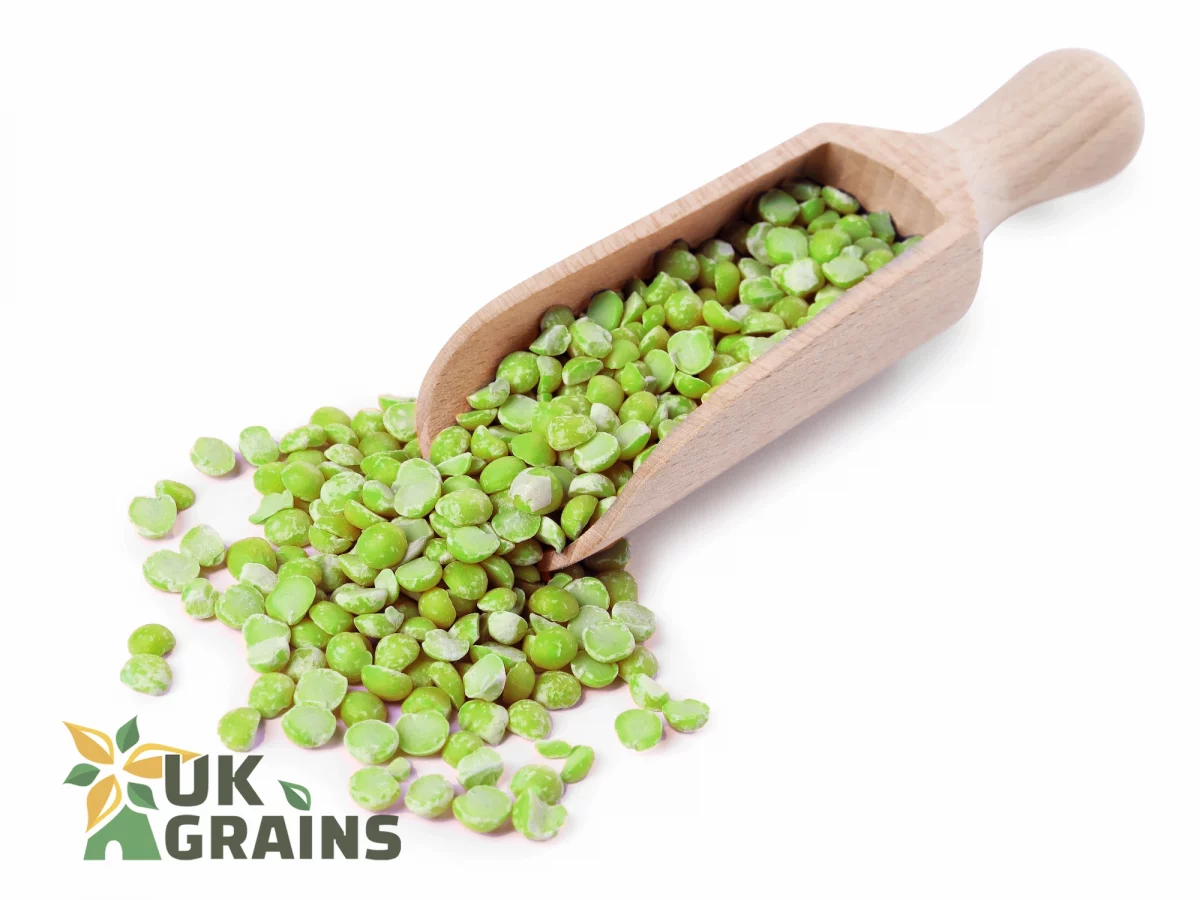 Nutritious split peas green | UK Grains