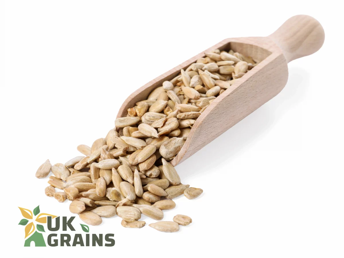 Healthy raw sunflower seeds | UK GRAINS
