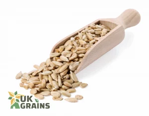 Raw Sunflower Seeds – 20 kg