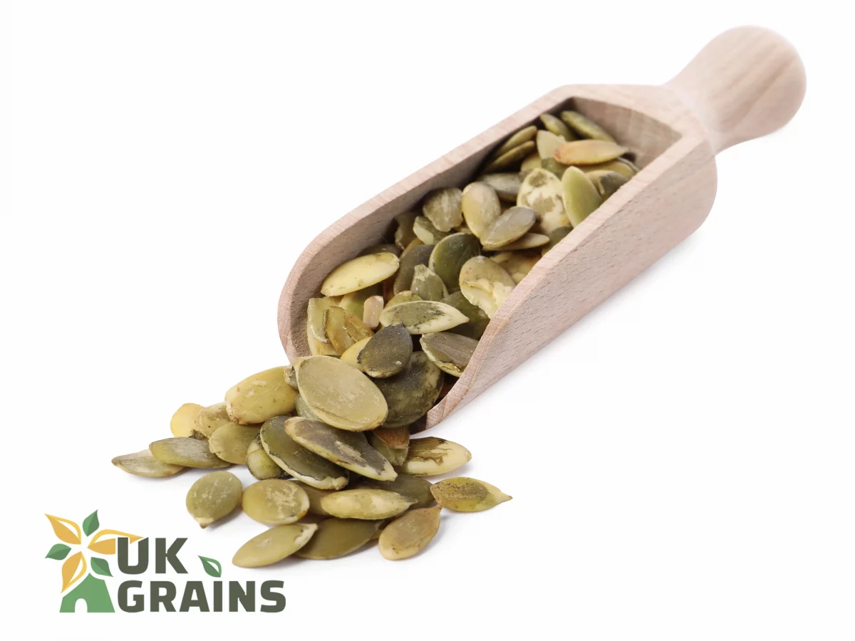 Pumpkin seeds | UK Grains
