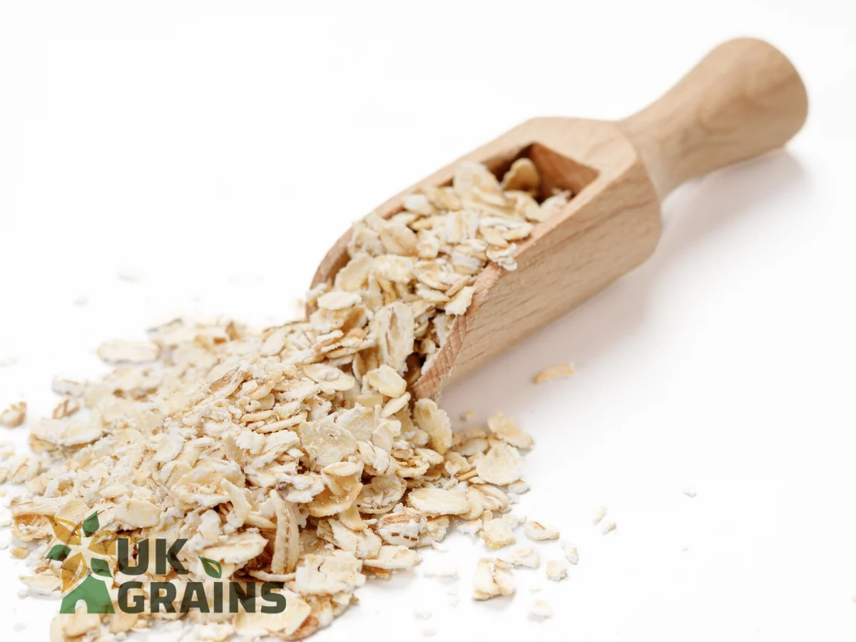 The best oats | UK Grains