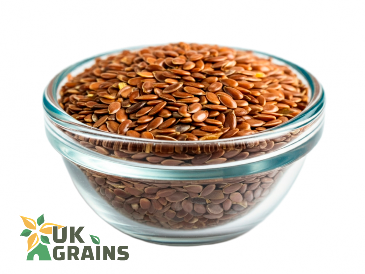 Healthy brown flaxseeds | UK Grains