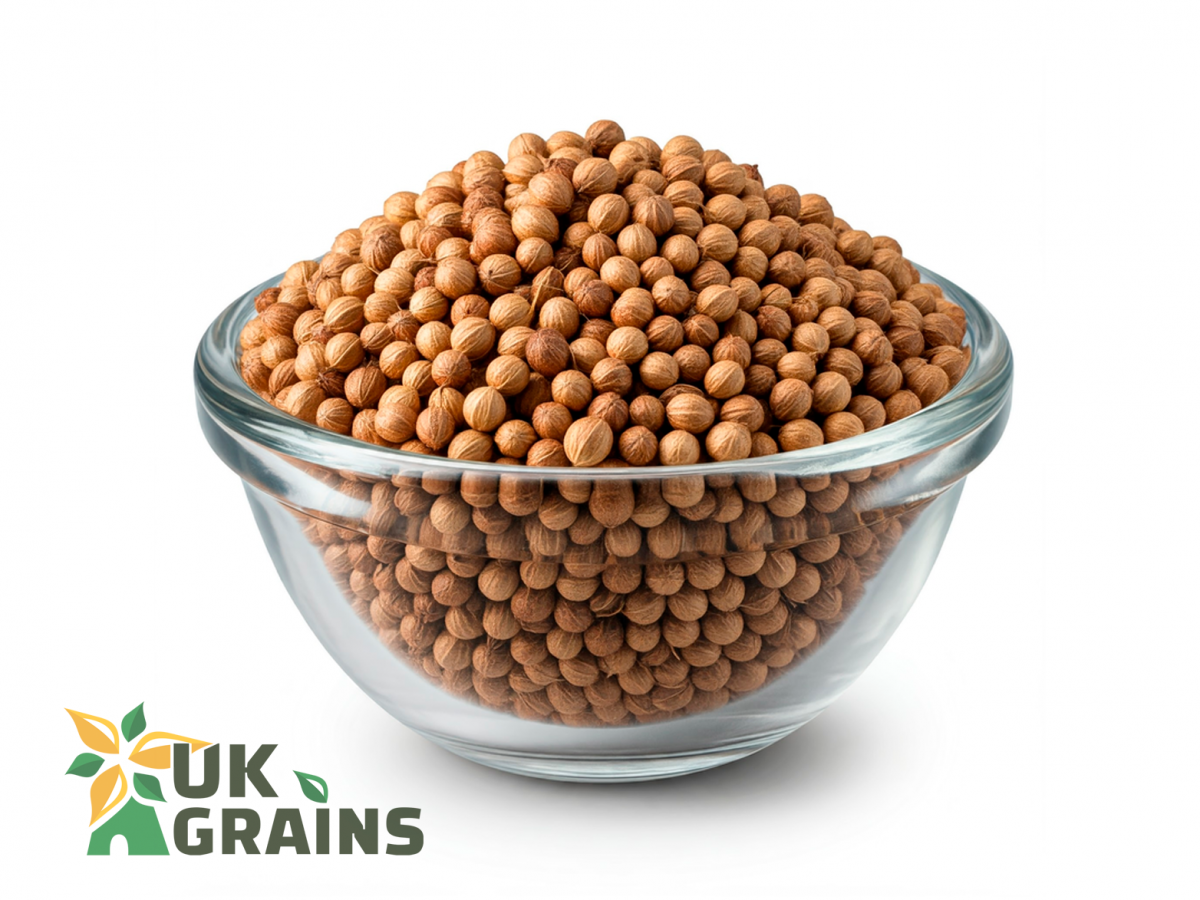 Organic coriander seeds | UK Grains