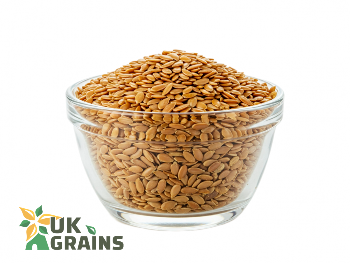 Gold flax seeds | UK Grains