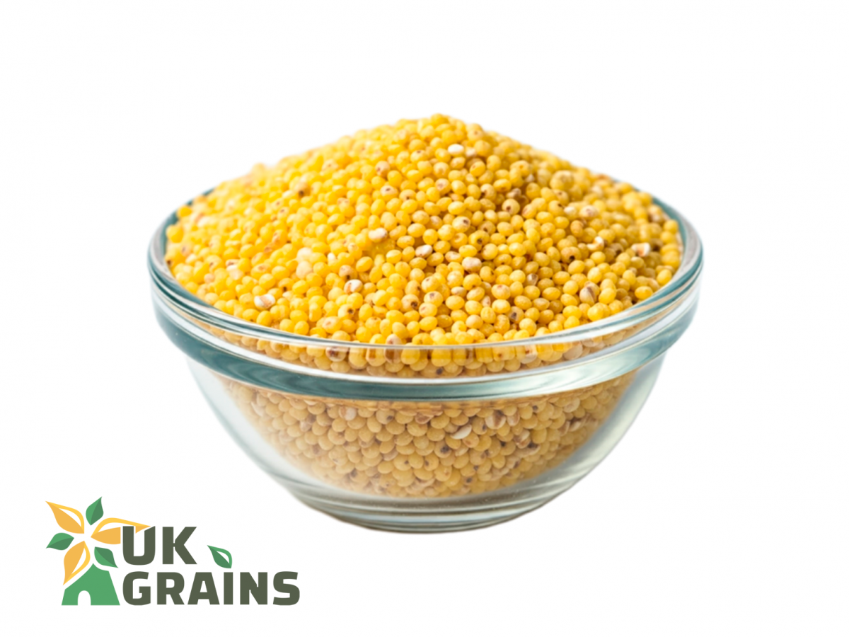 Organic millets | UK Grains