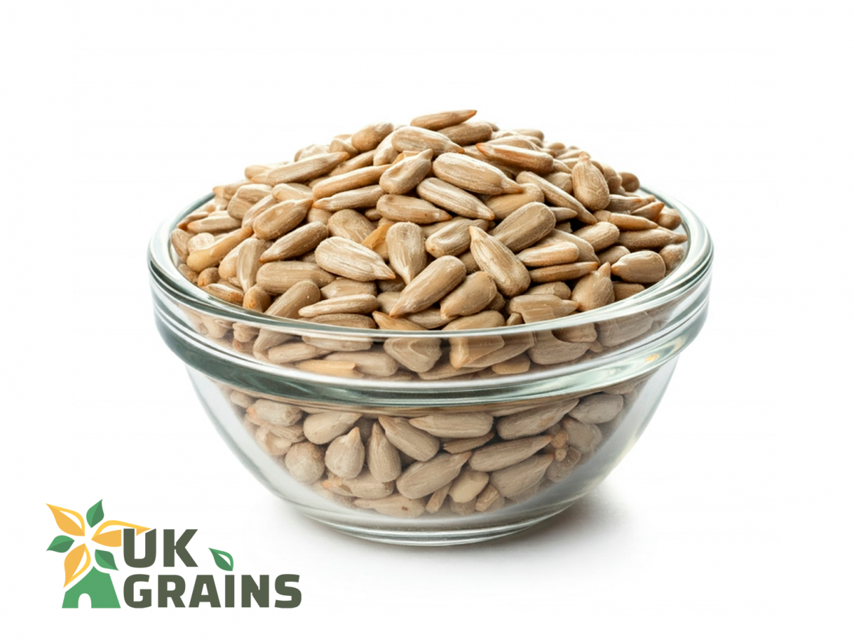 Organic raw sunflower seeds | UK GRAINS