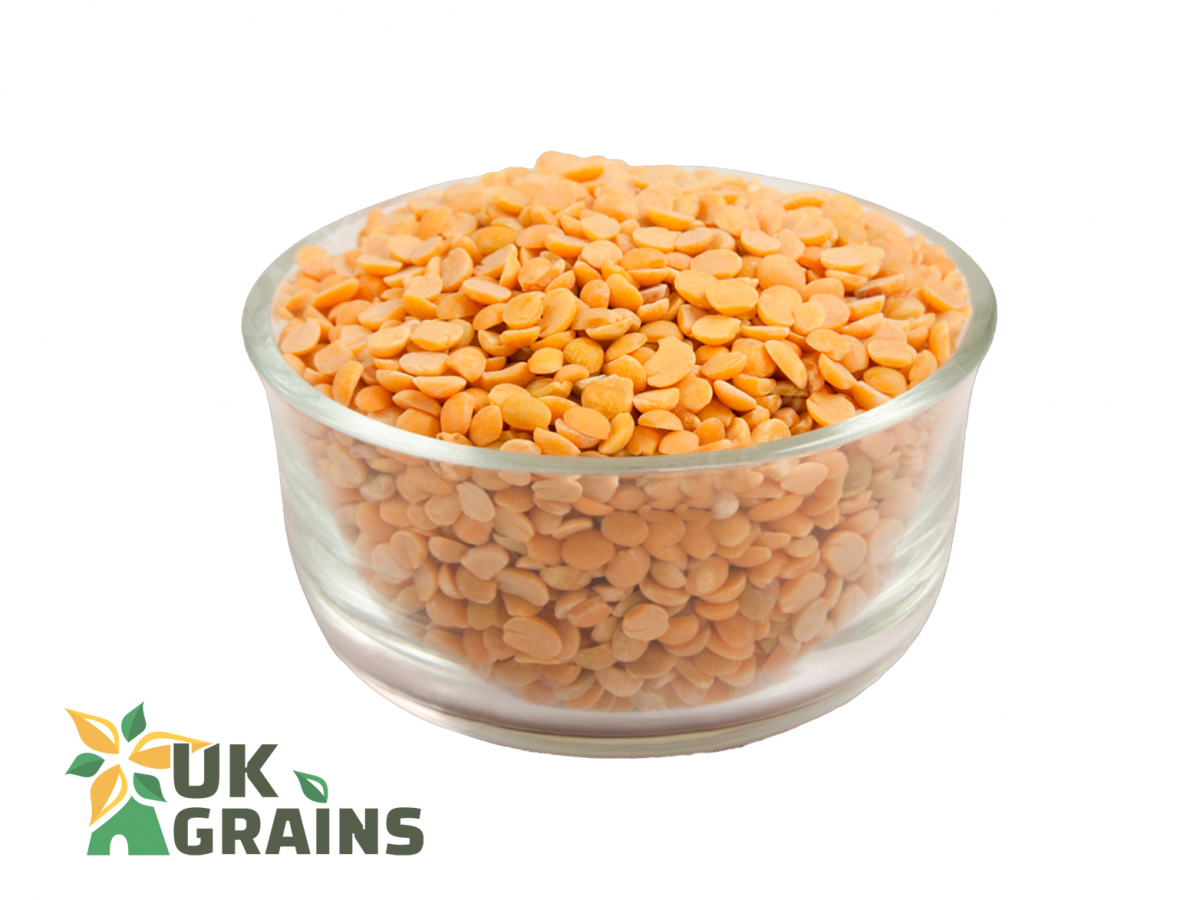 Split yellow pea | UK Grains