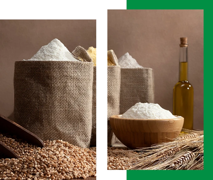Image of grains and different cultures