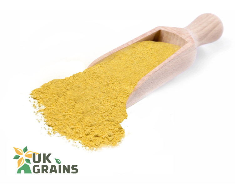 Yellow Mustard Powder - 25kg