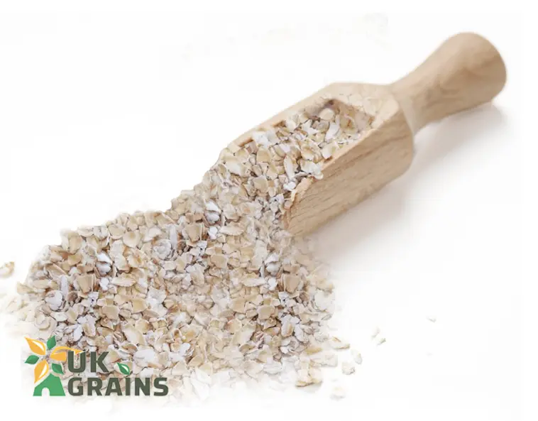 Porridge Oat Flakes - 20kg